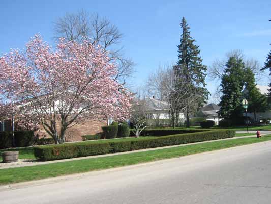 市场上规模有规范